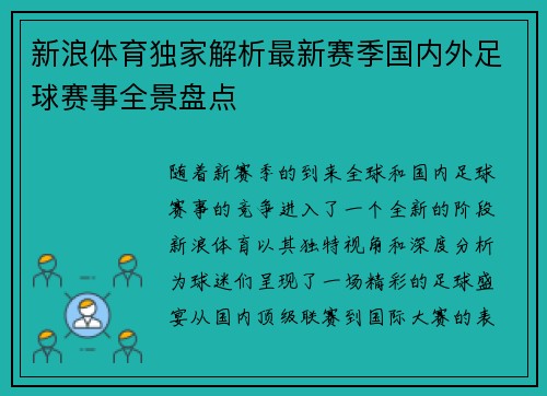 新浪体育独家解析最新赛季国内外足球赛事全景盘点